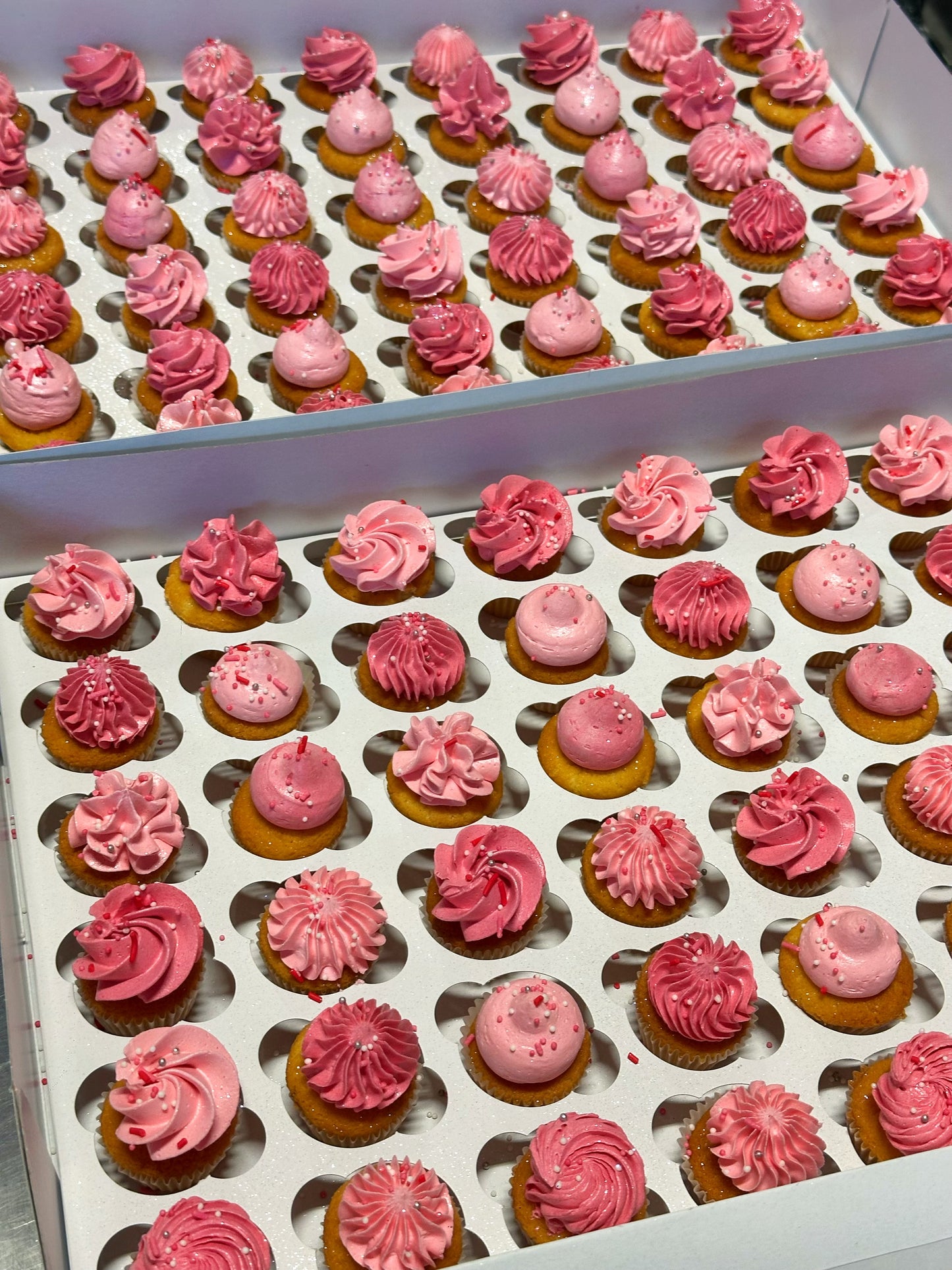 Mini Cuppies