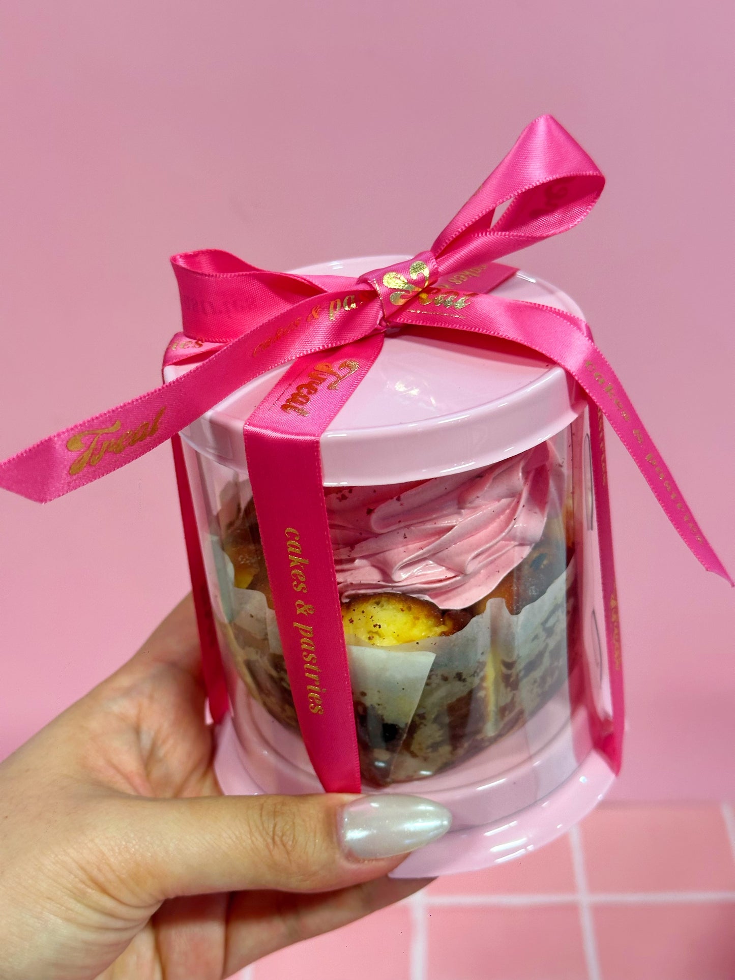 Mini Raspberry meringue basque cheesecake