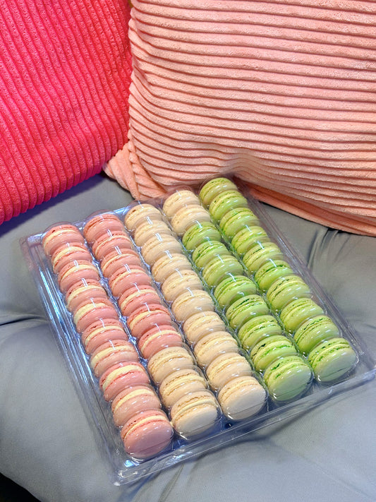 macaron 50 party pack