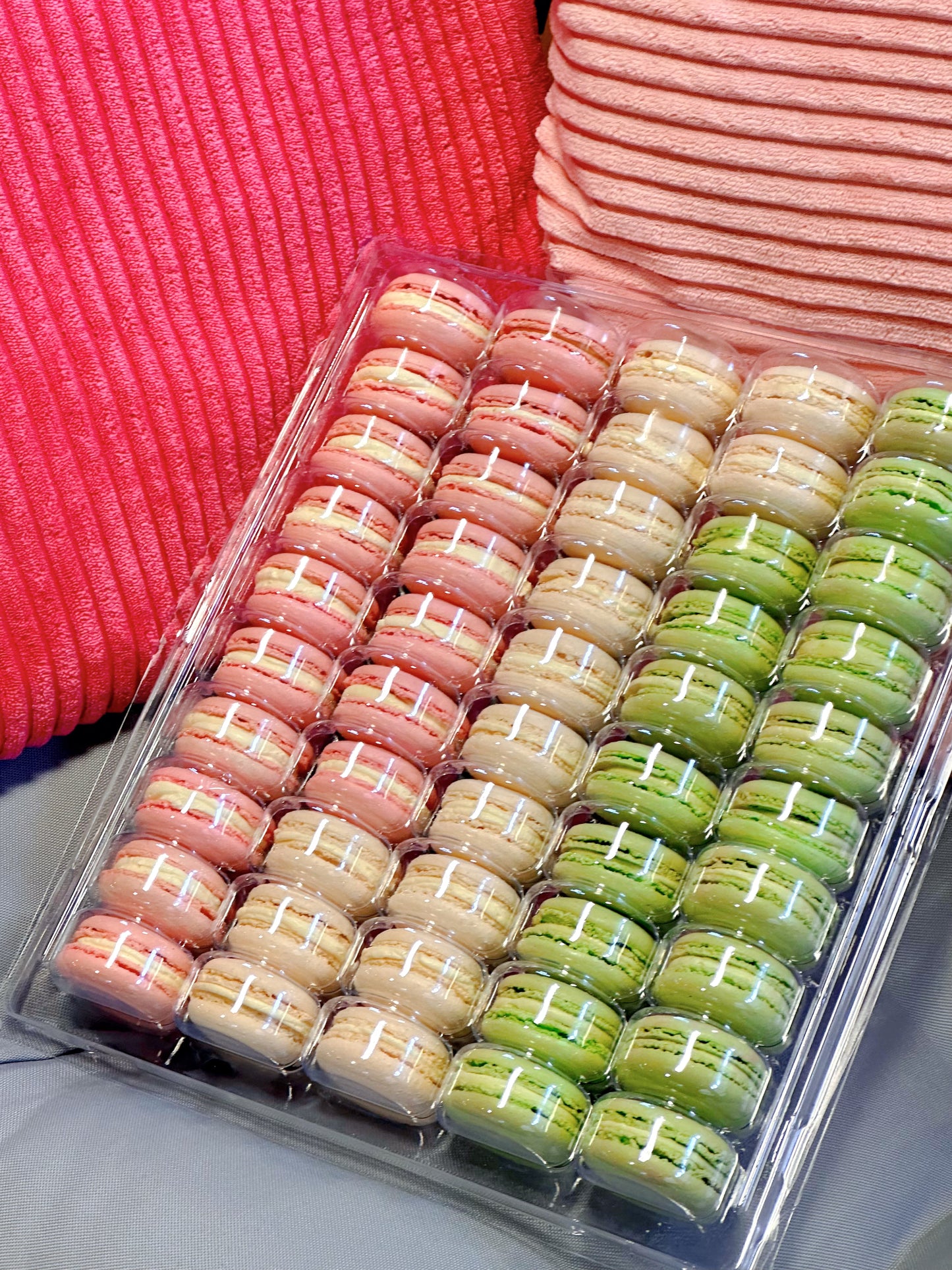 macaron 50 party pack